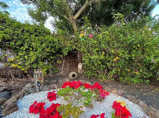 Ocean Kiss * פוארטו דל כרמן